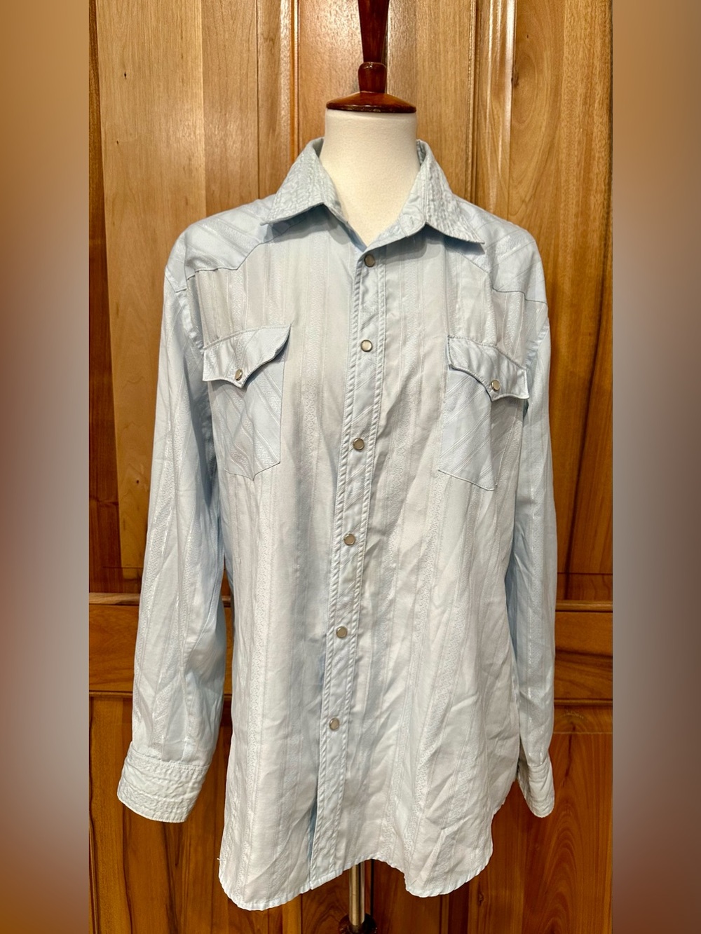Buffalo Country Silver-Shot Light Pastel Blue Western Shirt, EUC, L